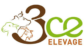 3CE-logo