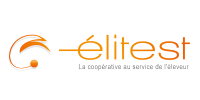 Elitest