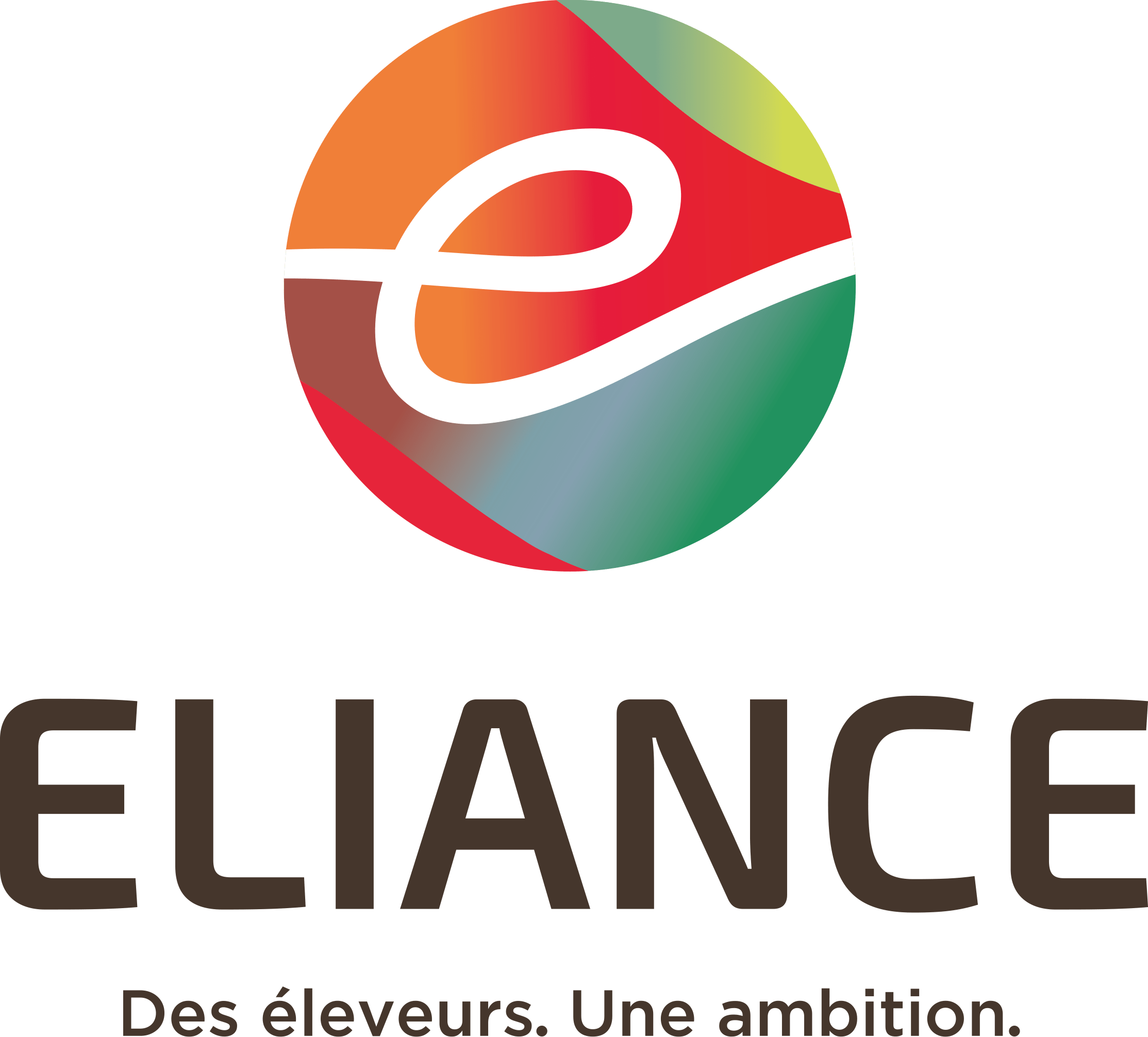 Elliancequadri